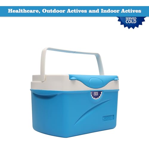Jaypee Chillax 4 Insulated ice Box Chiller Ice Box | Standard Size for Travel Party Bar Ice Cubes | Cold Drinks | Medical Purpose 2.5 liters Blue|B078H64Y62